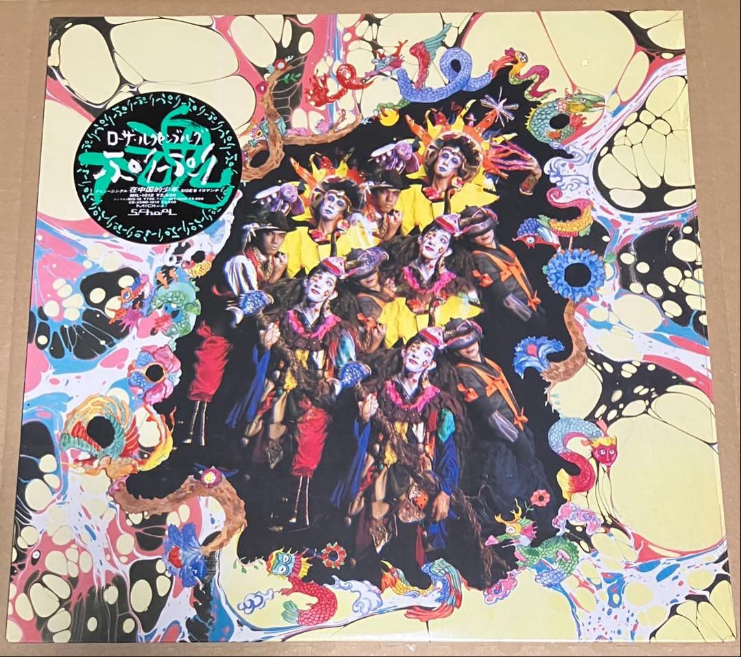 MIDI ステッカー帯付き！ローザ・ルクセンブルグ/ぷりぷり 新品同様！