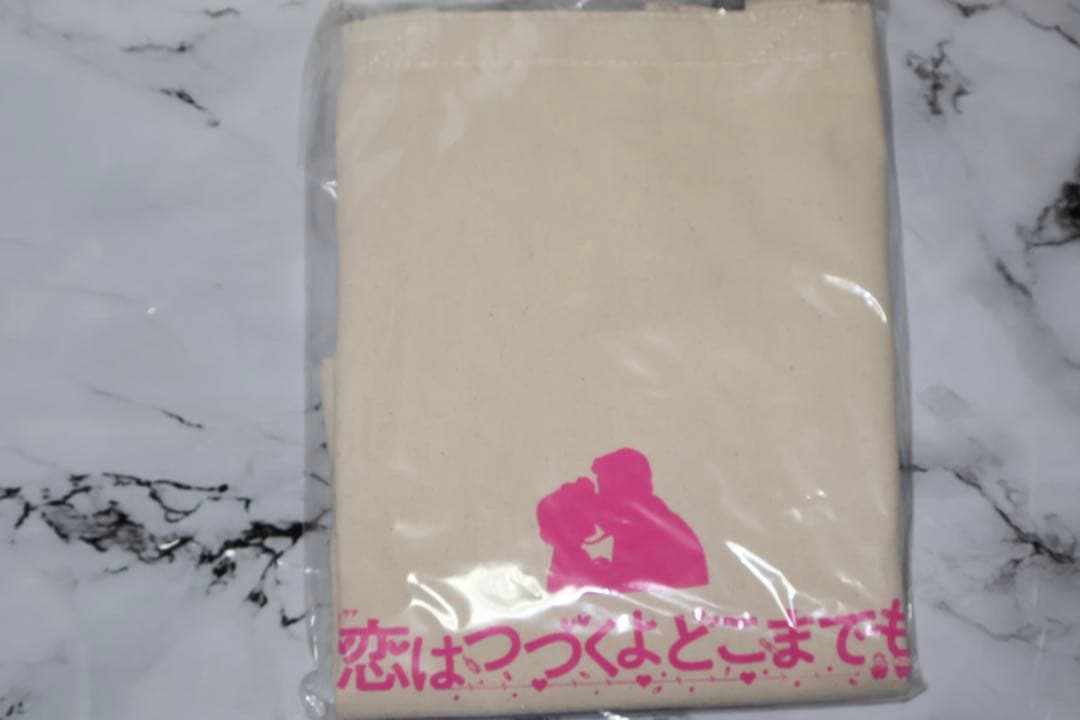【新品未使用】恋はつづくよどこまでも 恋つづ DVD キャンバスミニトート付