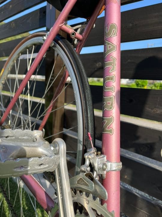 ツノダサターン