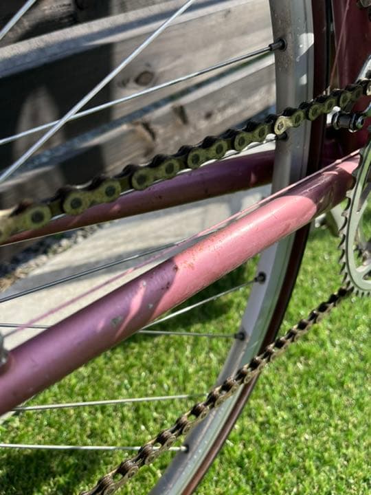 ツノダサターン