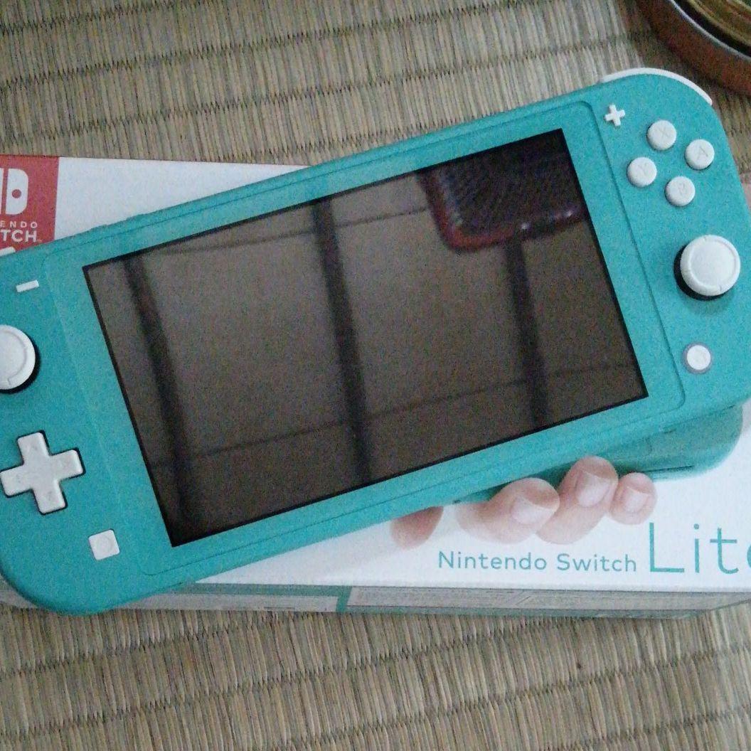 Nintendo Switch 海賊無双4付き