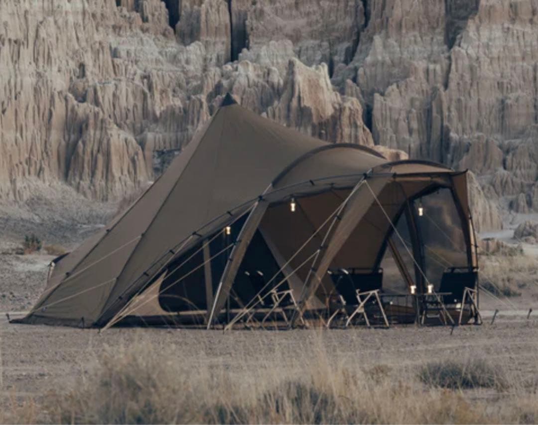 ゼインアーツ　ロロ　5点セット　おまけ付き！