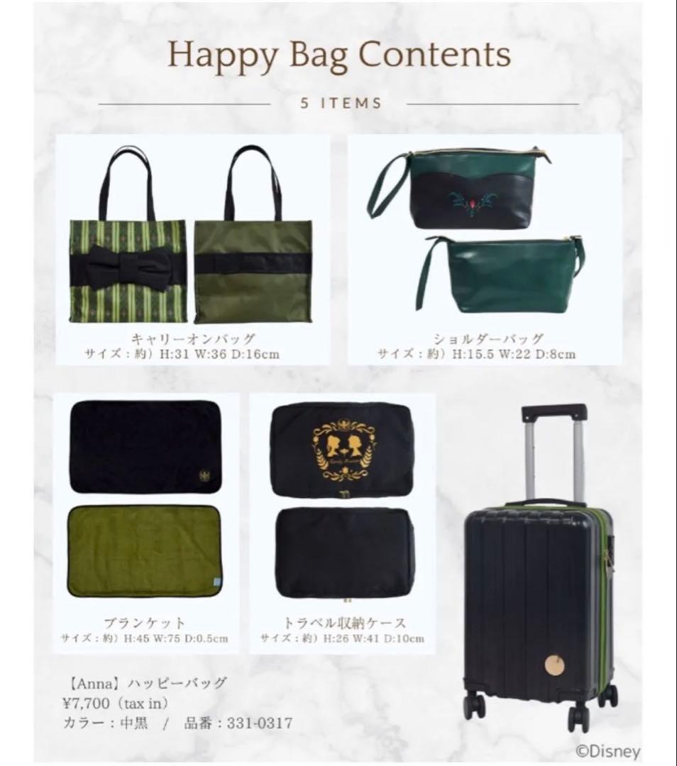 アナと雪の女王　 キャリーバッグ　5点セット アナ