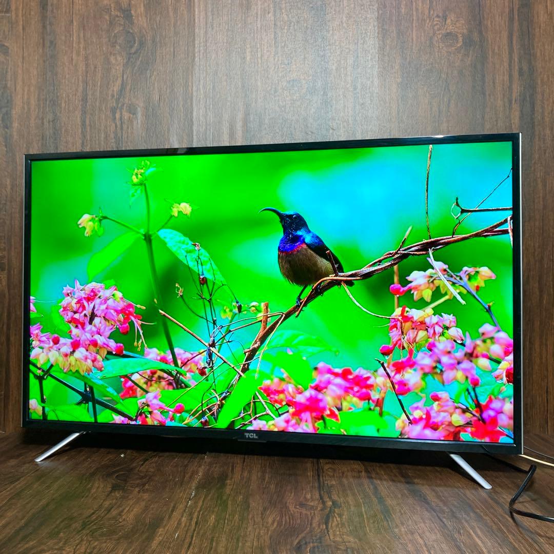 極美品 TCL 43インチ液晶テレビ 43D2900F 2019年製