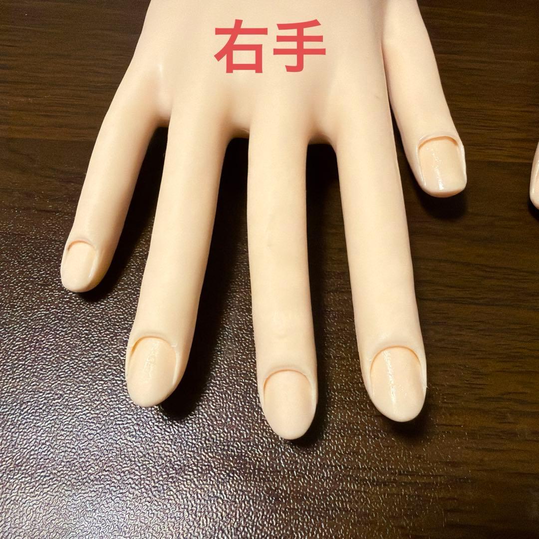 【両手】JNEC認定モデルハンド