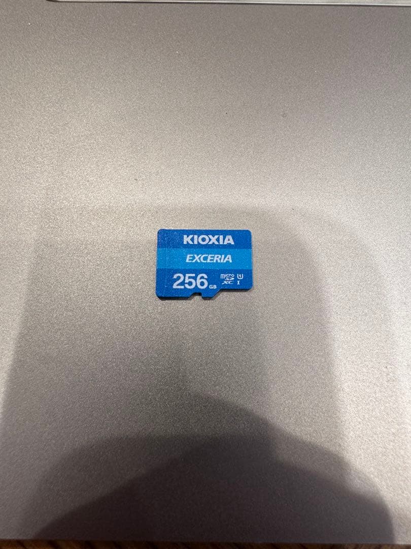 SD256GB付 Nintendo Switch Lite ハイラルエディション