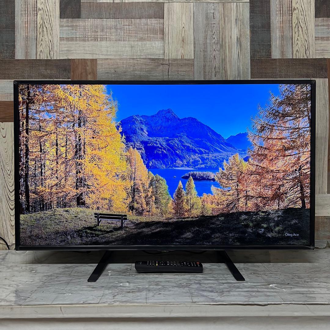 チップさん全国送料込昨年購入グリーンハウス40型液晶TVかんたん操作東芝LSI