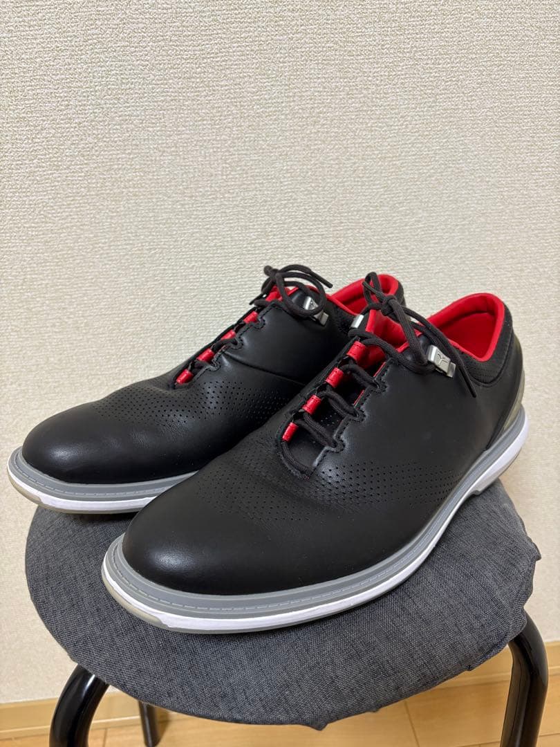 ともぞう[美品 28.0cm]NIKE ジョーダン ゴルフシューズ