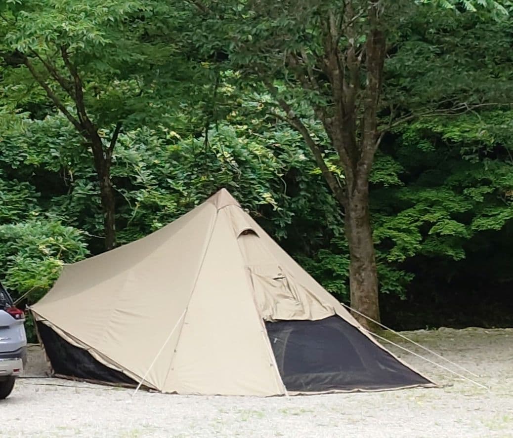 【使用１回の超美品！】　ウータL