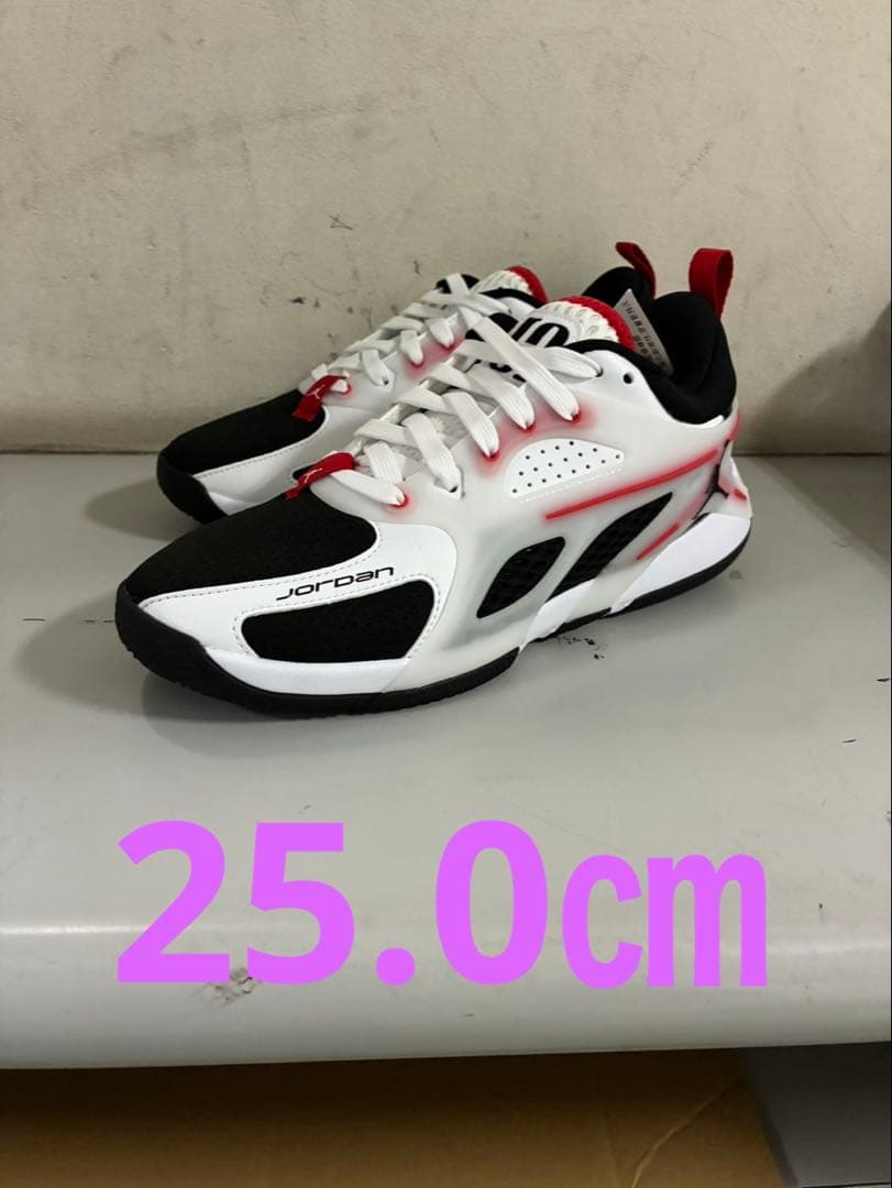 JORDAN HEIR PF 106カラー 25.0㎝