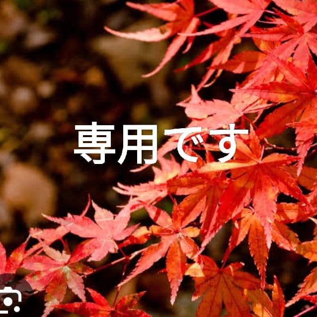 ちゃむさま専用【美品　高級感漂う美しい本革】二つ折り財布　バイソン刻印