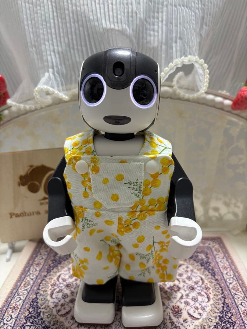 ☆母ちゃん【ロボホン】（ミモザ服セット）☆