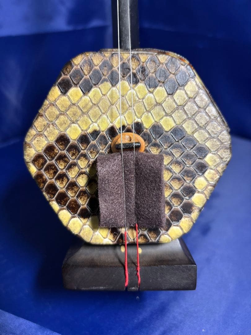 西野二胡　光舜堂（中上級者向け）