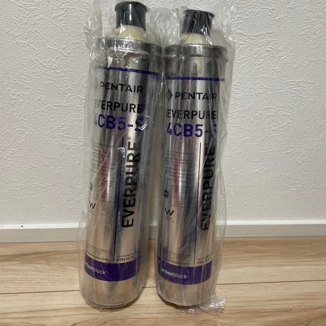 Pentair Everpure 4CB5-S カートリッジ 2本セット