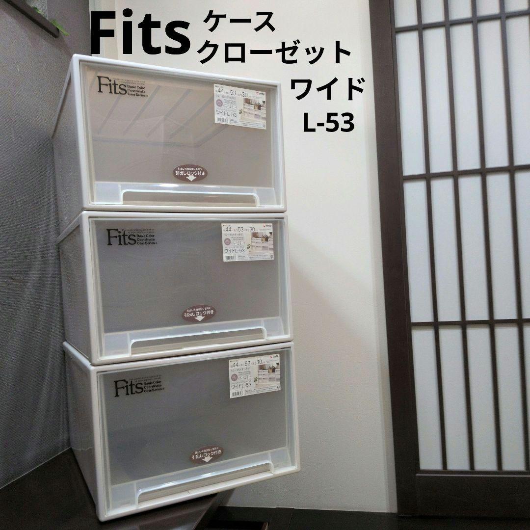 送料無料✨3個セット✨フィッツ Fits天馬 衣装ケース クローゼット L-53