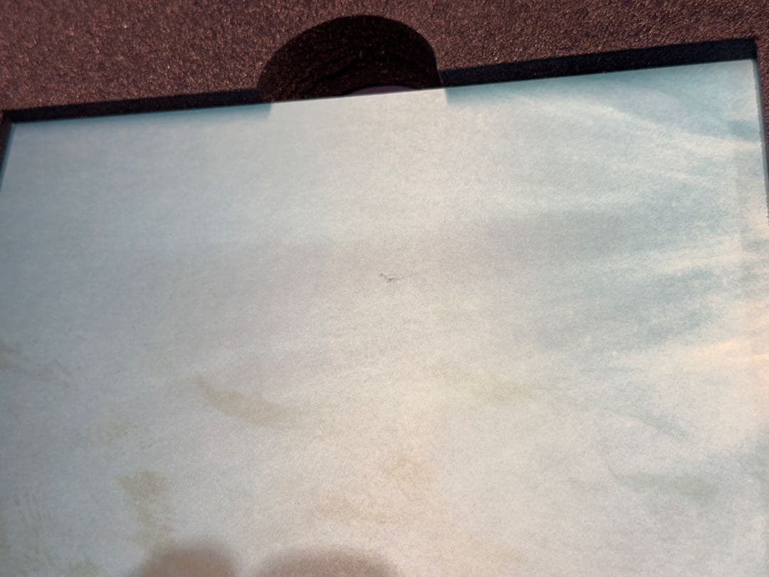 スワロフスキー 2006年 ワンダー・オブ・ザ・シー エタニティー SCS限定