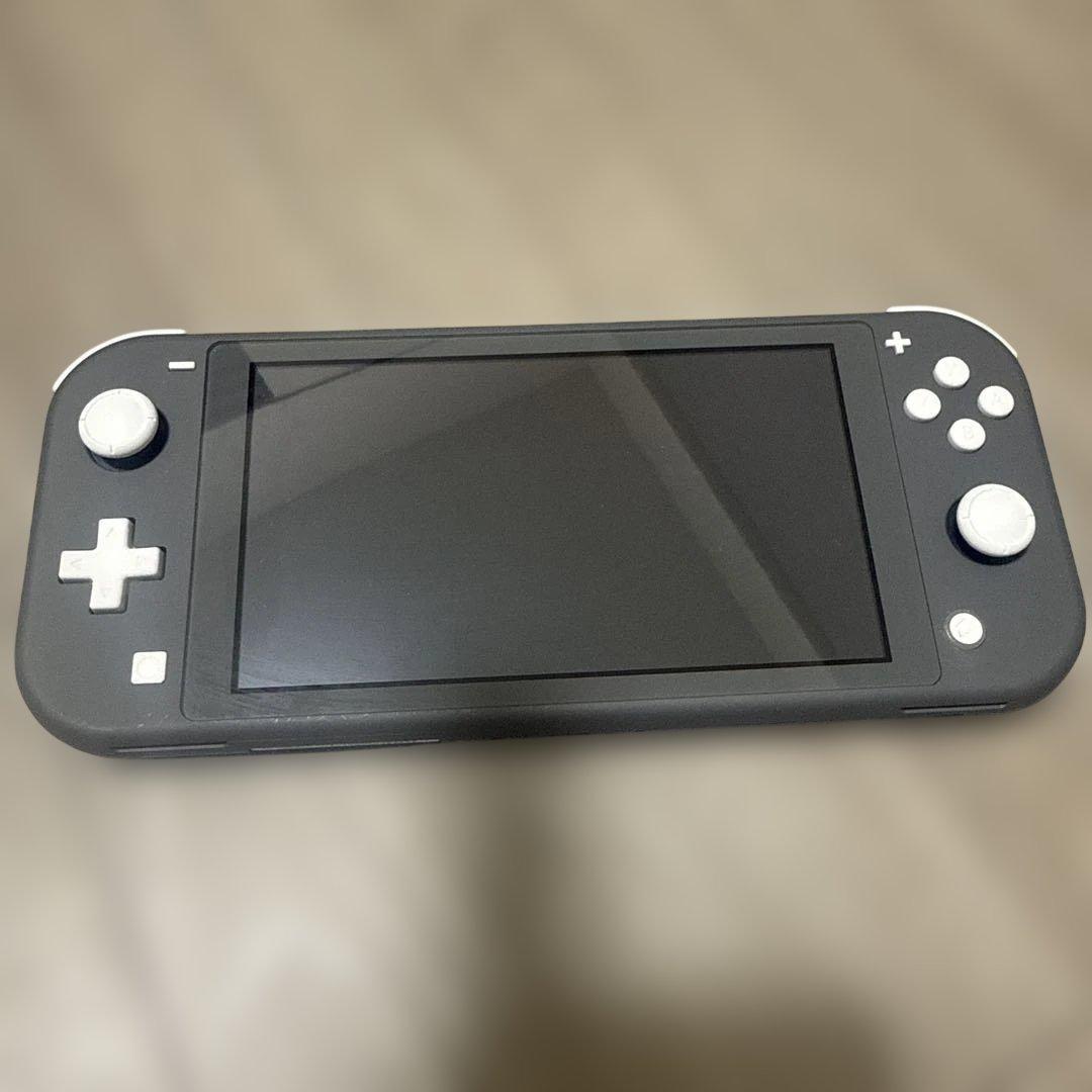 switchライト本体　　カバーケース、充電器付き