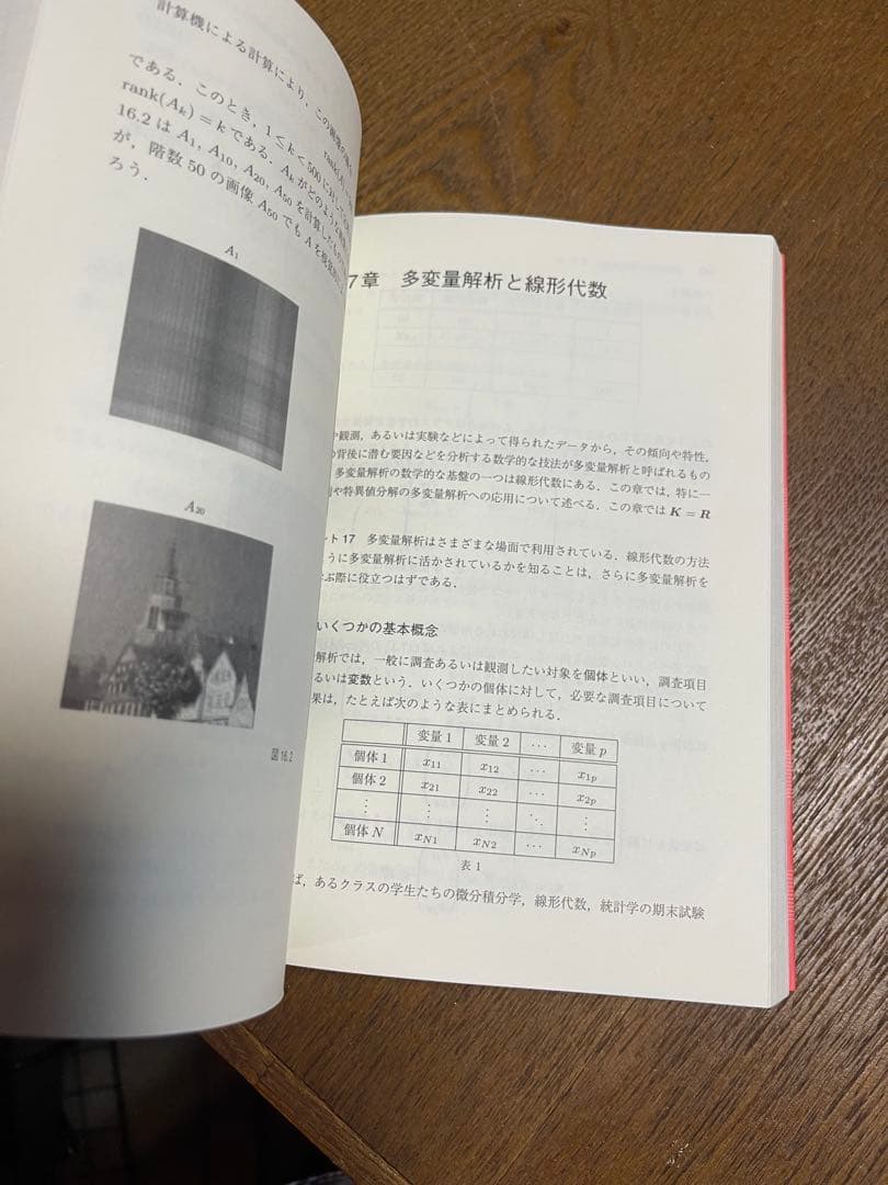 線形代数 基礎と応用 新井仁之著