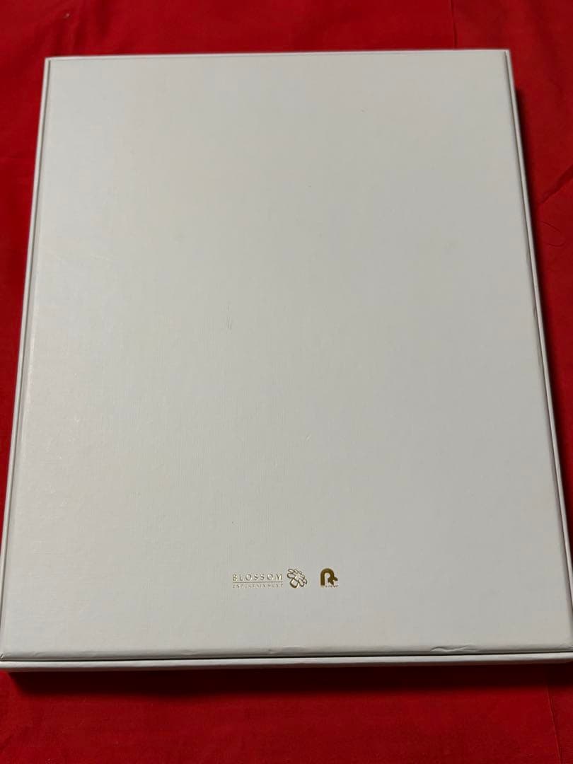 Park Bo Gum Christmas Eve & Good Day セット