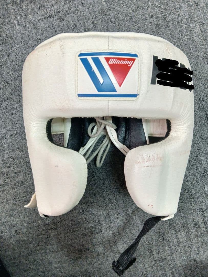 Winning ウイニング ヘッドギア FG-2900 M