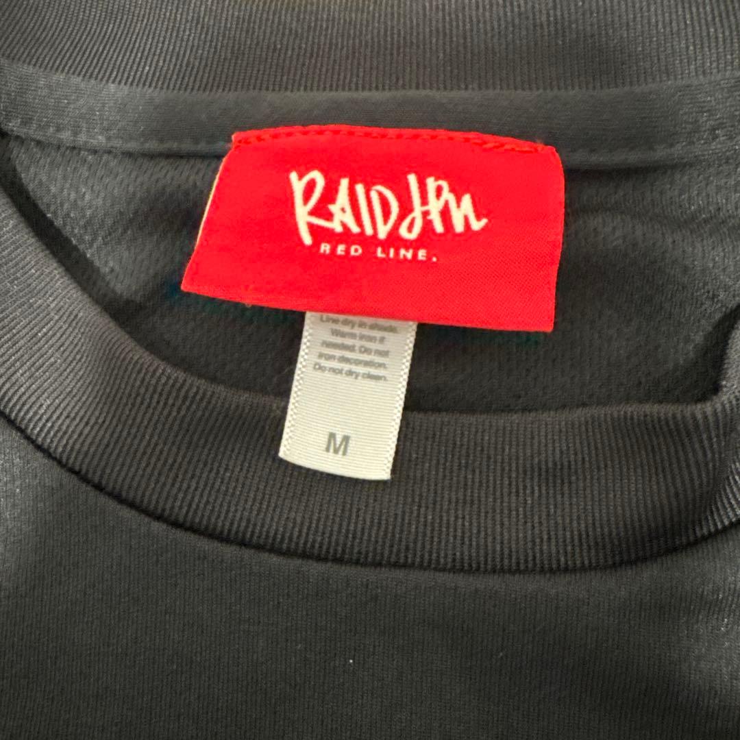 レイドジャパン　SEEK THE BLOWロンT