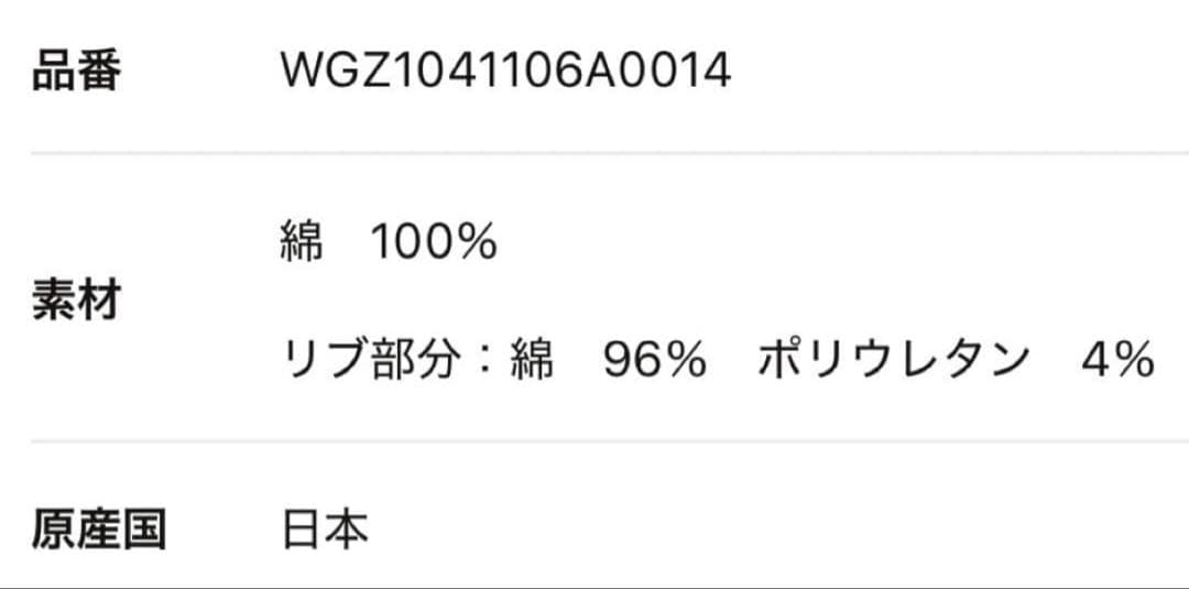 ウィムガゼット【THE PAUSE】ロゴスウェットプルオーバー