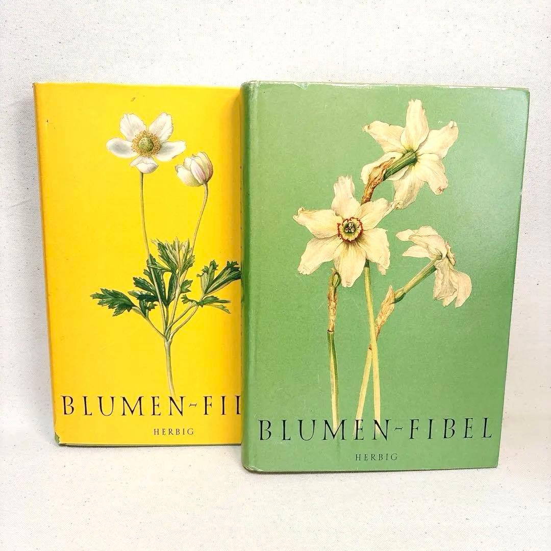 繊細なタッチの植物画 2冊セット Elsa Felsko 1960年