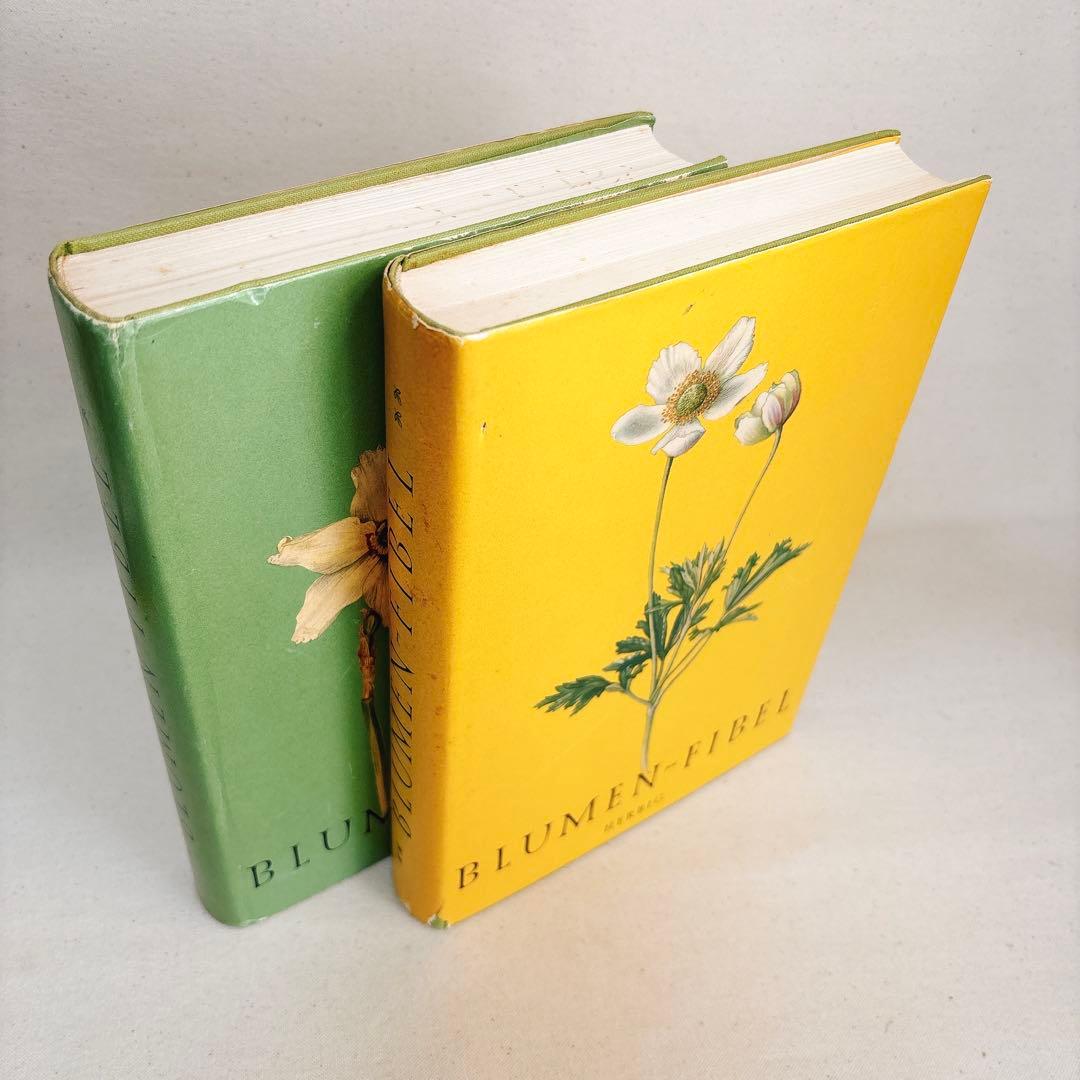 繊細なタッチの植物画 2冊セット Elsa Felsko 1960年