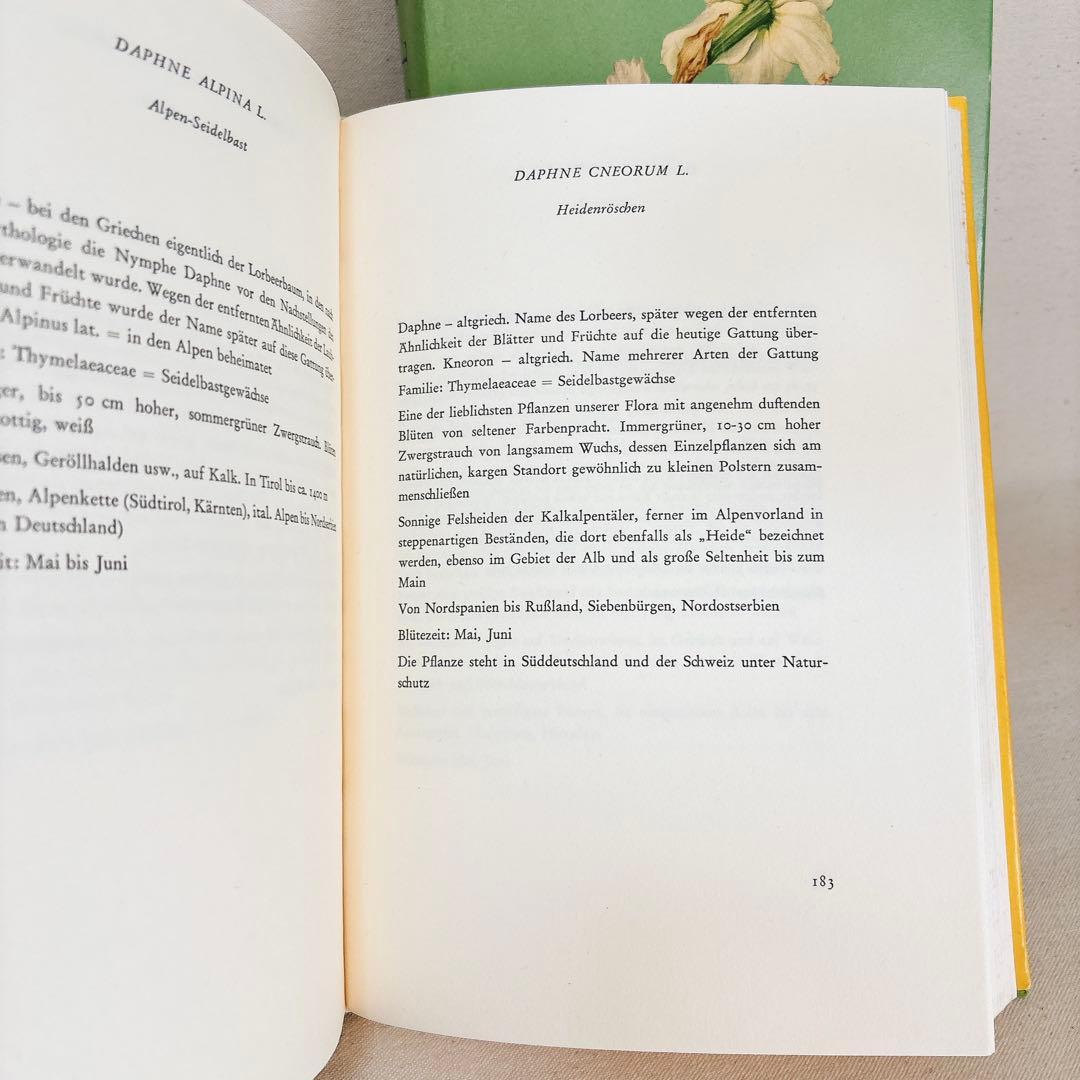 繊細なタッチの植物画 2冊セット Elsa Felsko 1960年