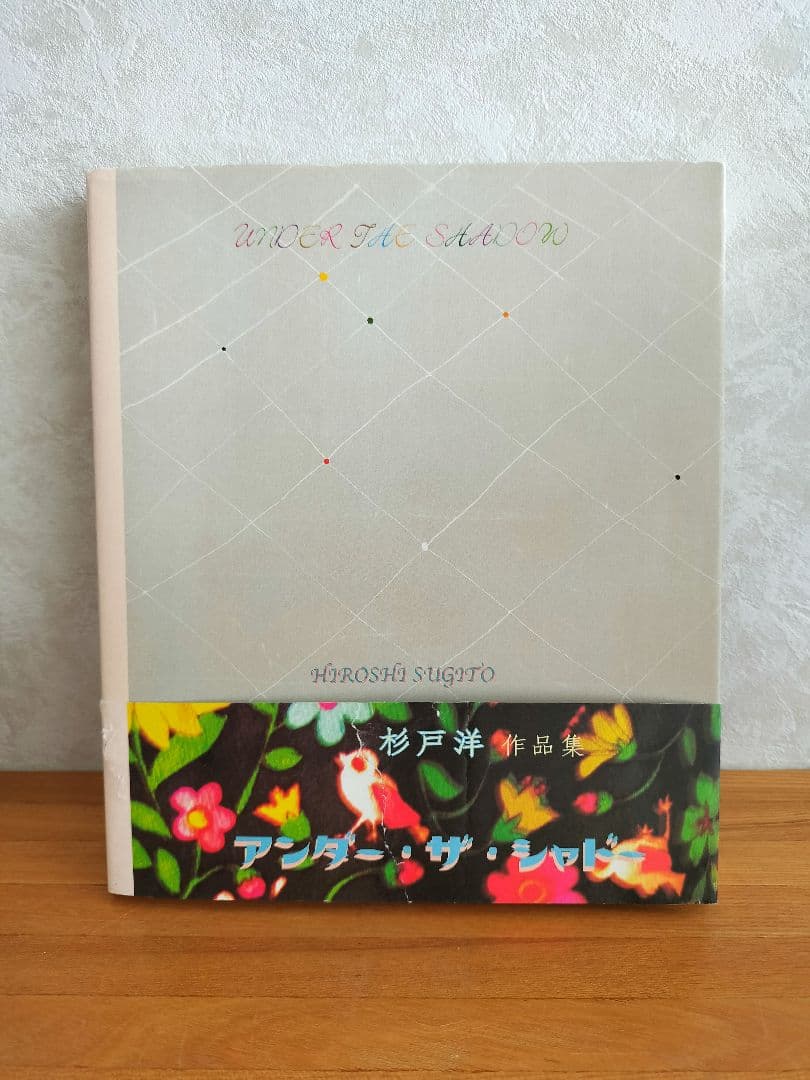 杉戸洋 アート作品集 UNDER THE SHADOW アンダー・ザ・シャドー