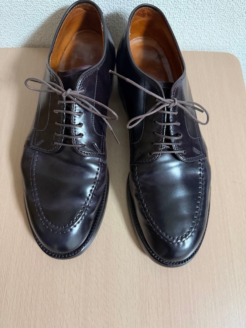 超希少！ALDEN Anatomica 5610 シェルコードバン