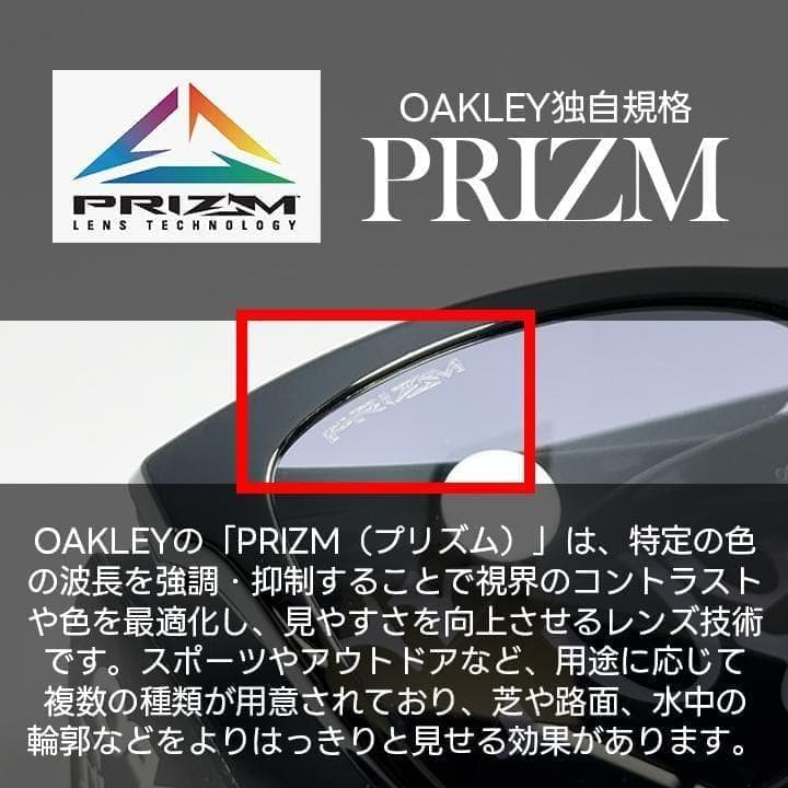 国内正規品【9245-7554】オークリー サングラス フロッグスキン