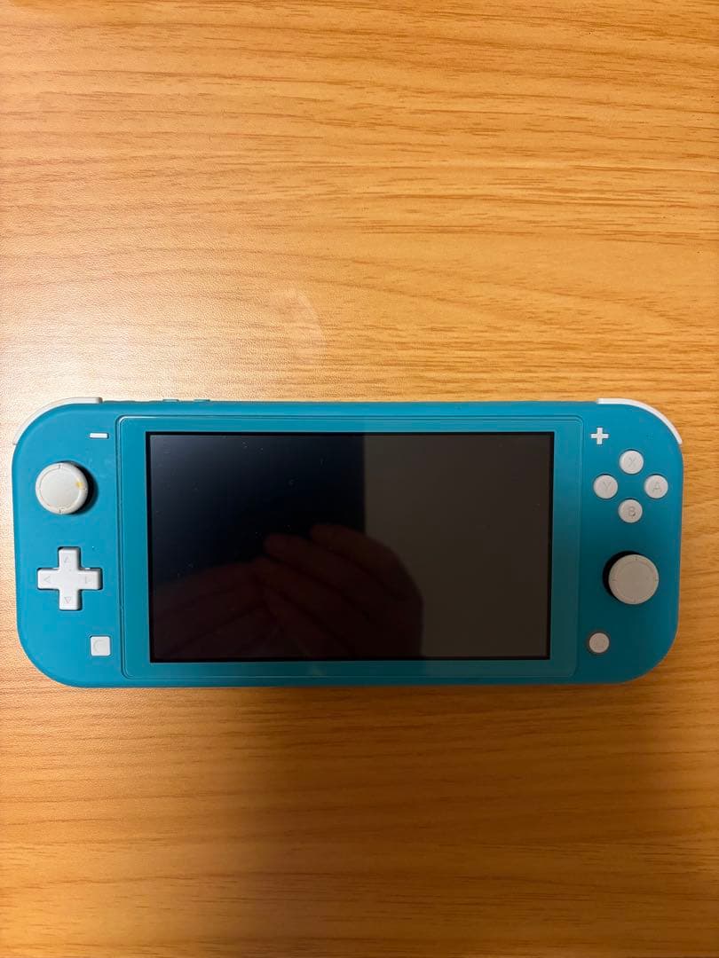 【Nintendo Switch Lite】フィルム貼付済み、充電器付き