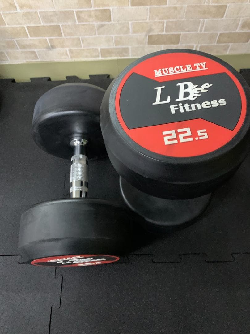 在庫処分特価！LBGYMオリジナル ラバーダンベル 22.5kg × 2個セット