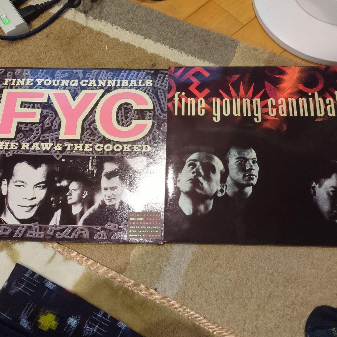 洋楽 FineYoungCannibals The Raw & The Cooked