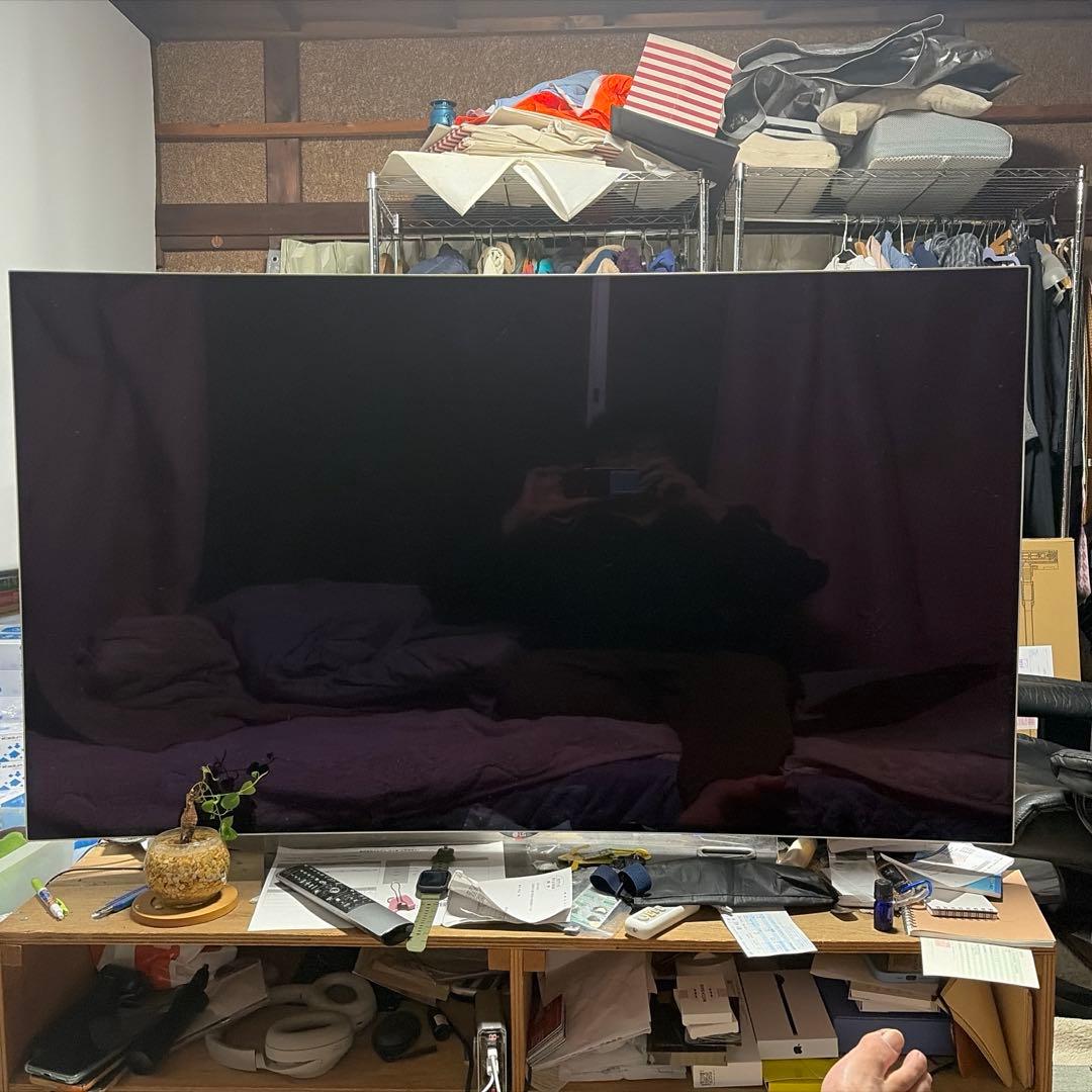 テレビ LG OLED55C6P