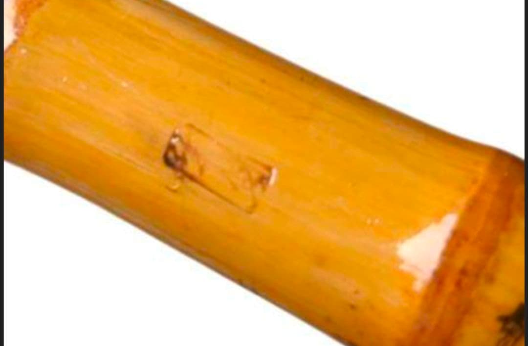 竿友作 手ばね竿 中通し竿 3本継 ハゼ 竹竿 和竿 布袋竹 美品 釣り