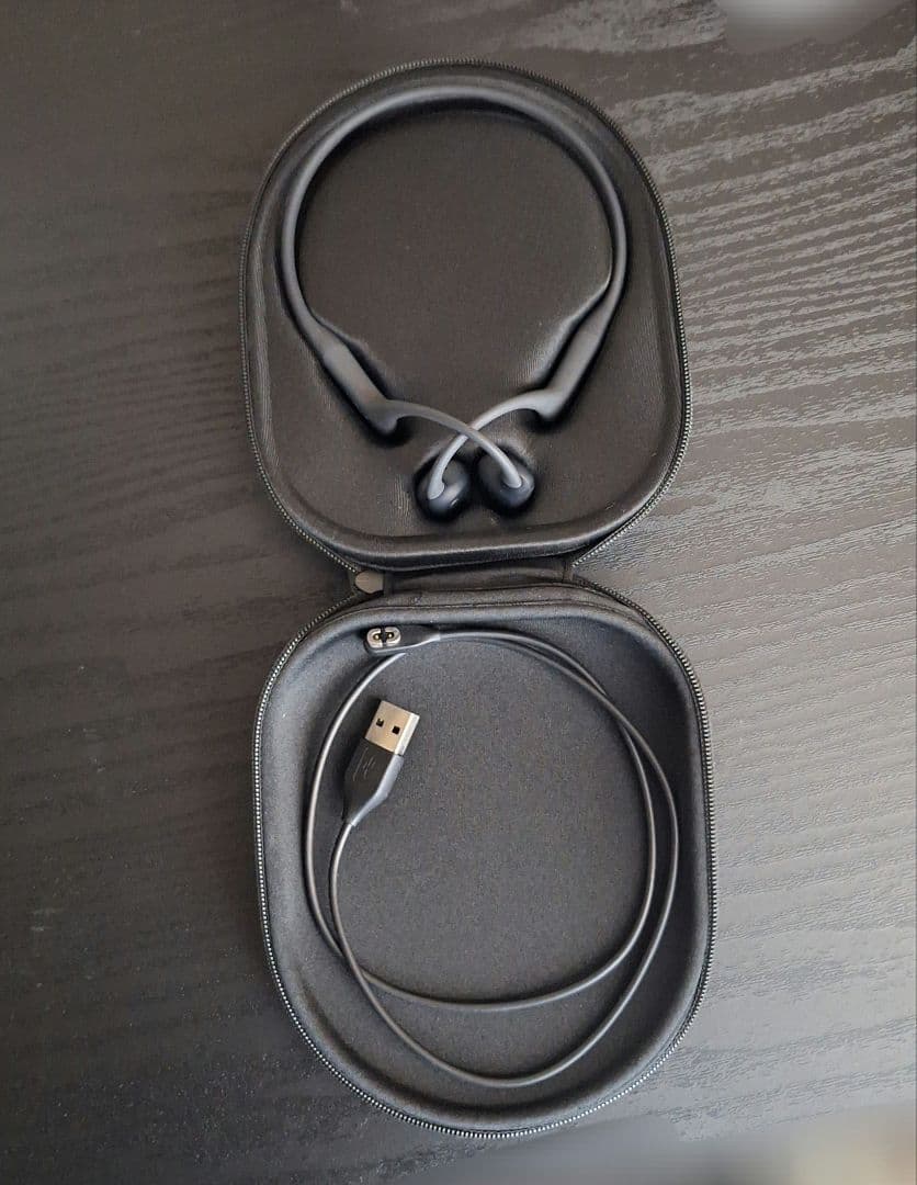 骨伝導イヤホンShokz OpenRan Pro Black S810