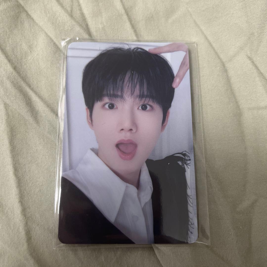 ジュンギュ ラキドロ ナイトガーデン 本国