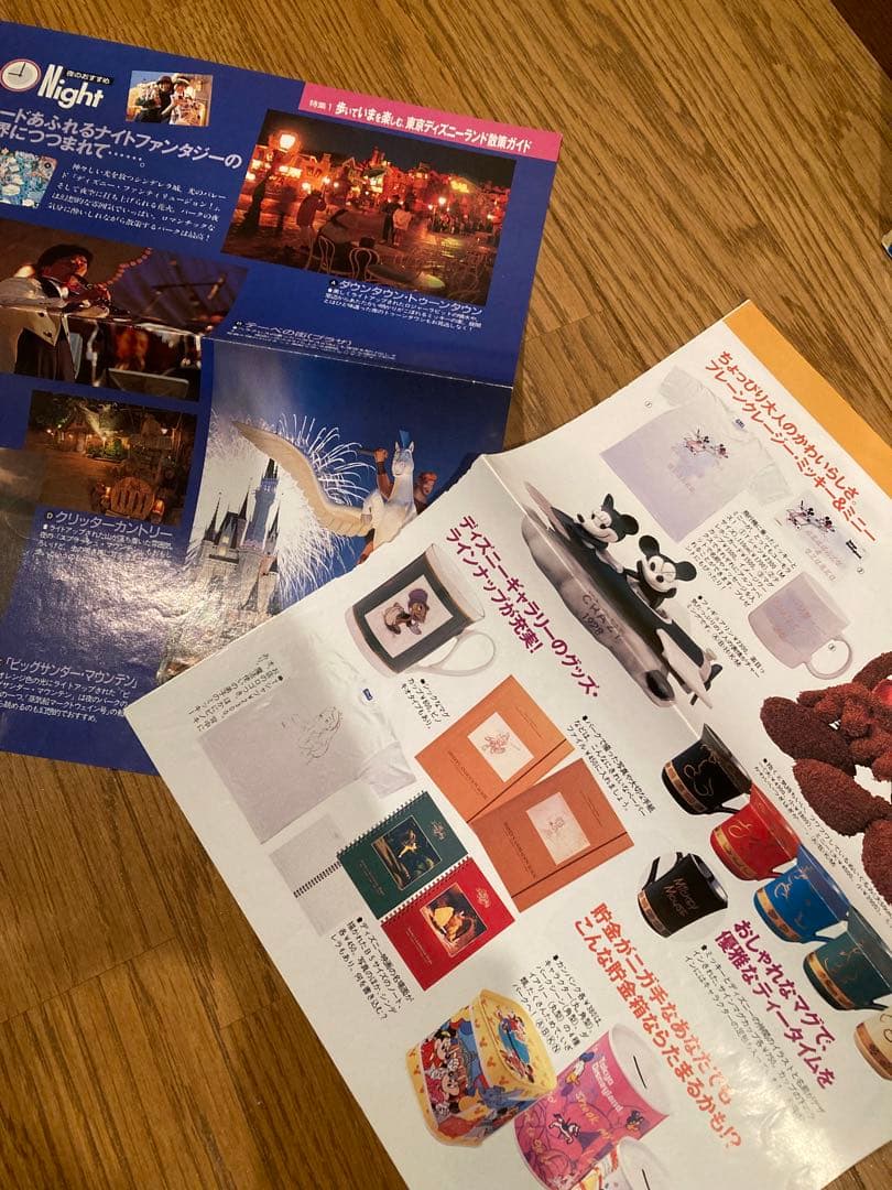 貴重　Disney ディズニーランド　おまけ付き　グッズコレクション　セット