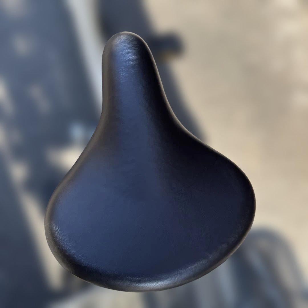 直接引き渡し‼️PELTECH ペルテック電動アシスト付き三輪車 TDR-163L