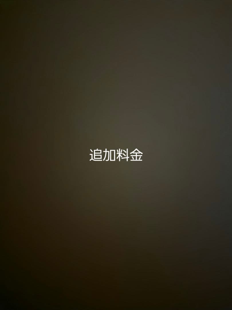 白地　上品な梅と菊の古典振袖フルセット