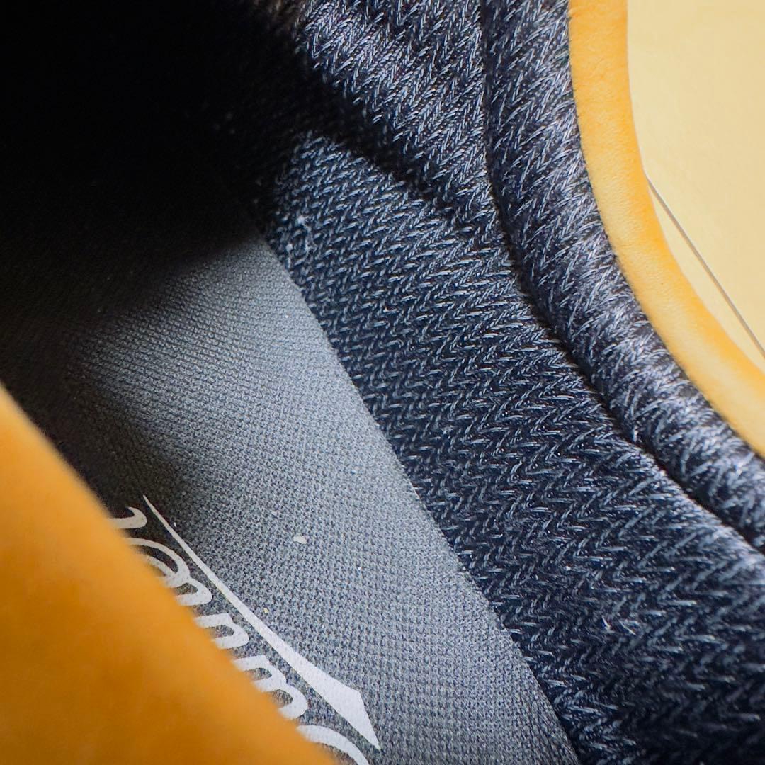 Danner フィールドロー ゴアテックス (28cm)