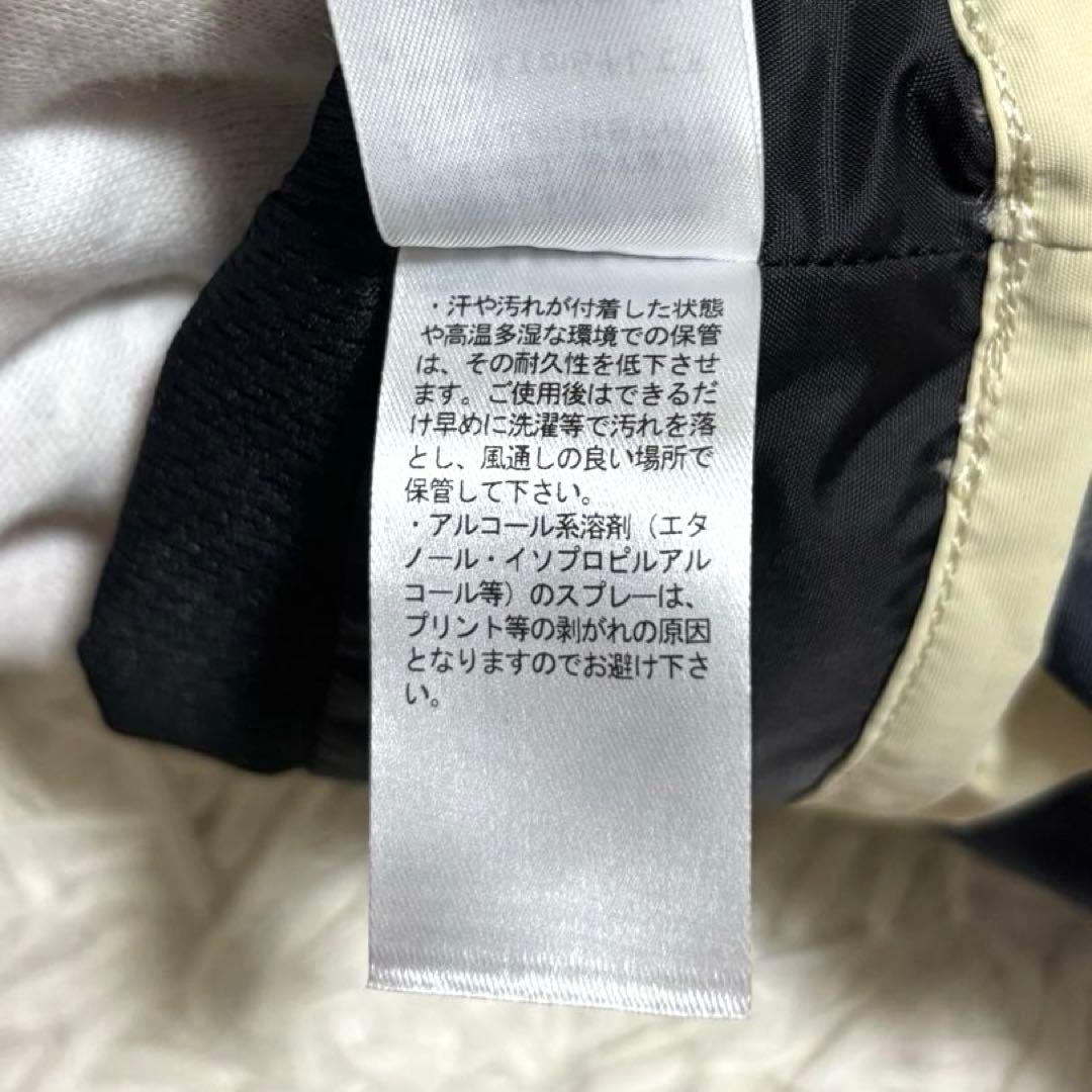 スキー・スノーボードアクセサリー THE NORTH FACE GTX Versatile Rain Glove