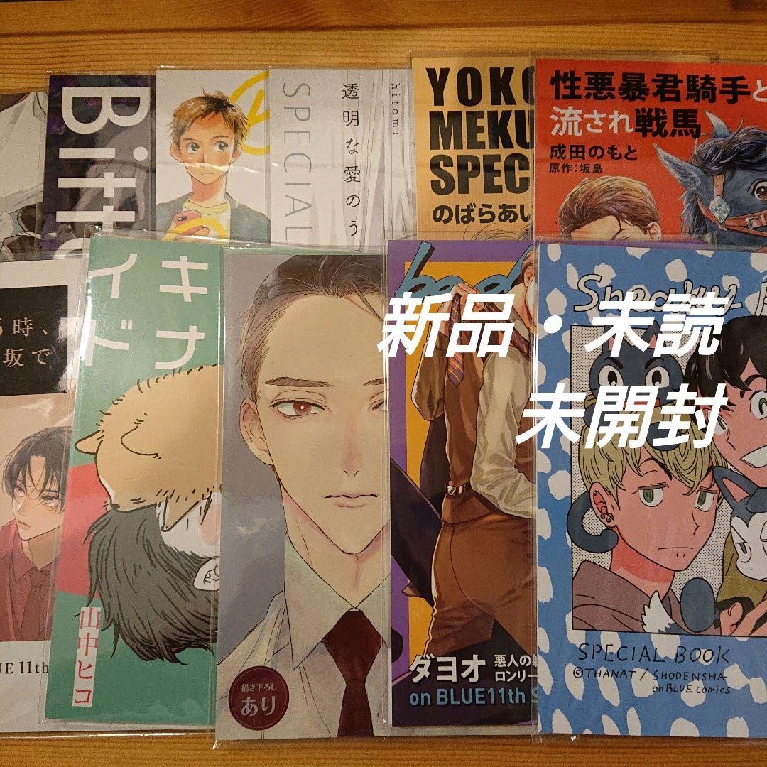 on BLUE 11周年記念小冊子 コンプリートセット