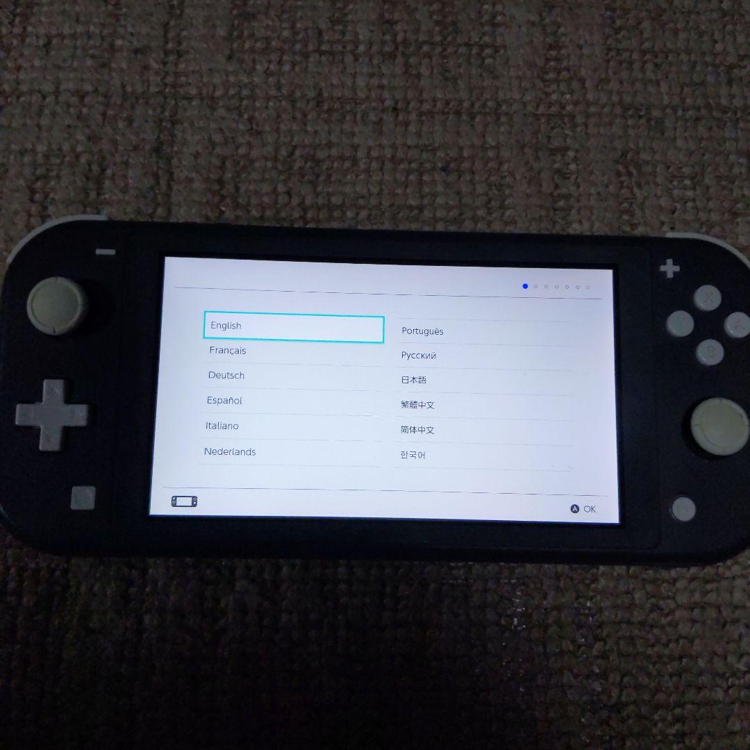 Switch Lite グレー 本体ジャンク品本体のみ