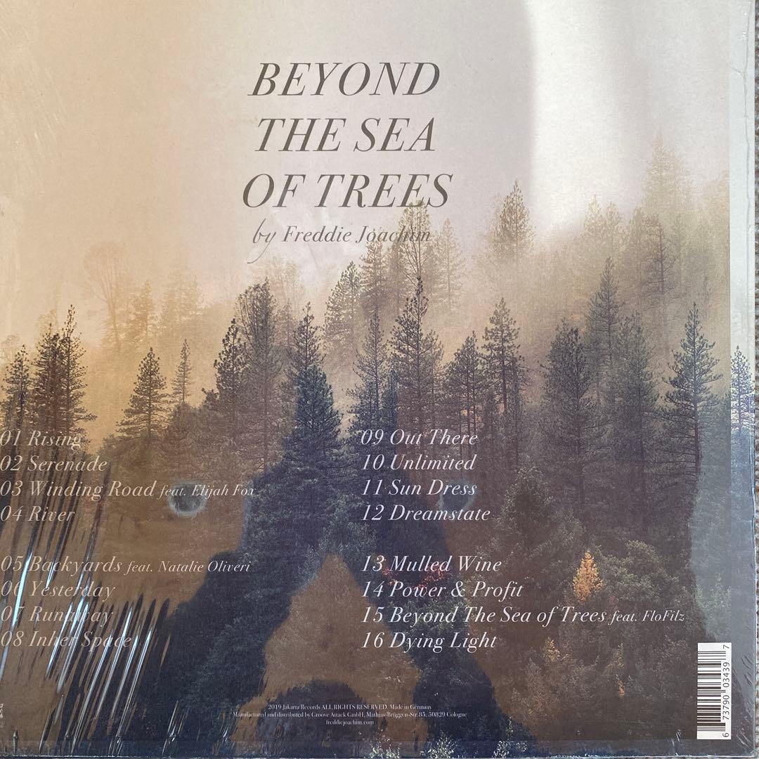 洋楽 Freddie Joachim /Beyond The Sea Of Trees