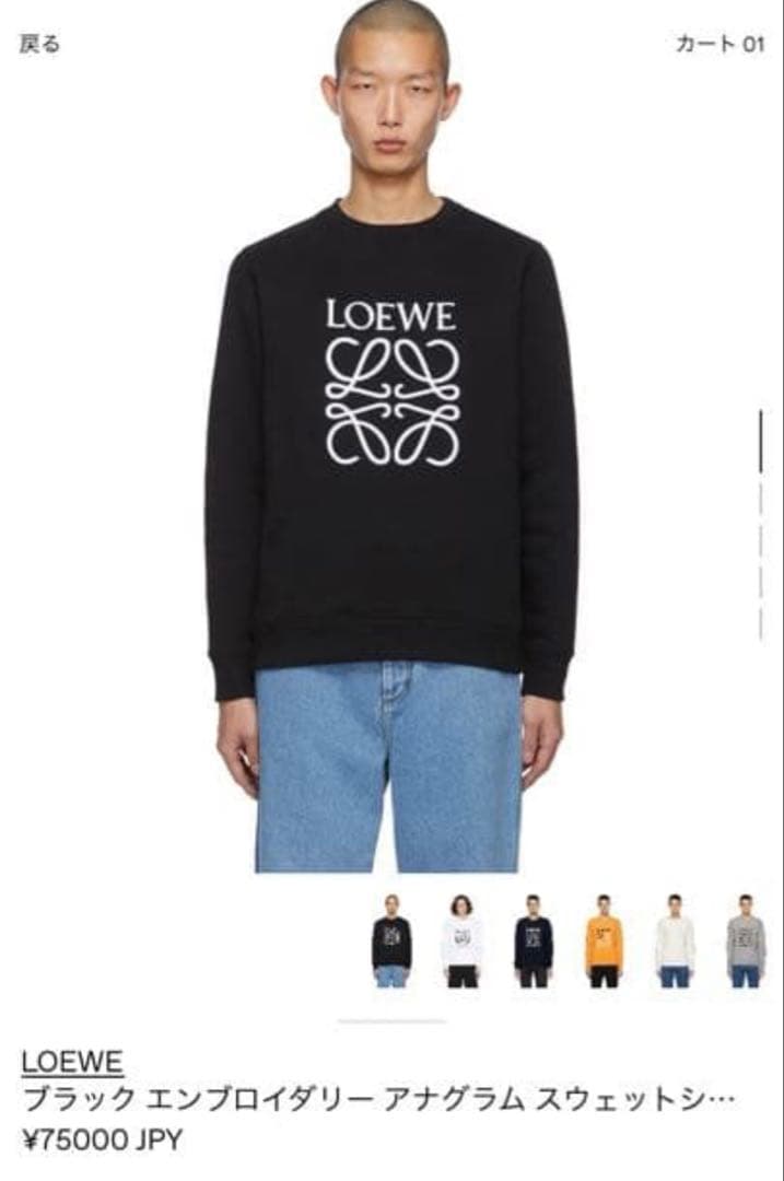 Loewe トレーナー