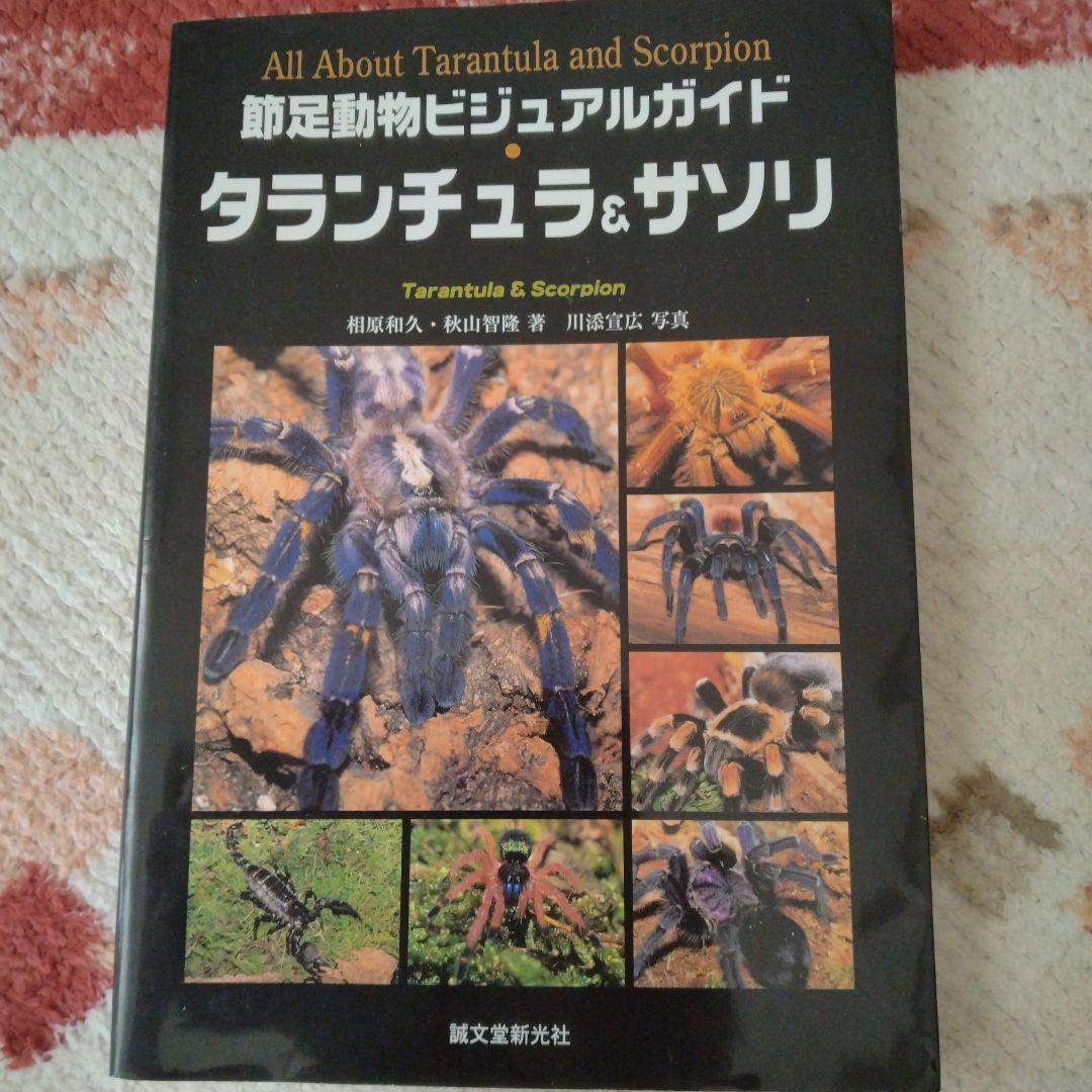 節足動物ビジュアルガイド タランチュラとサソリ