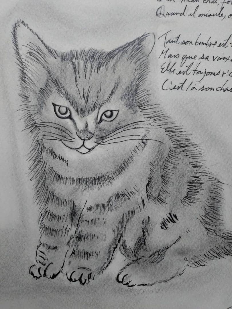 藤田嗣治【座る子猫】手描き作品/表裏サイン・鑑定書有り/鉛筆/逸品/額縁/額装